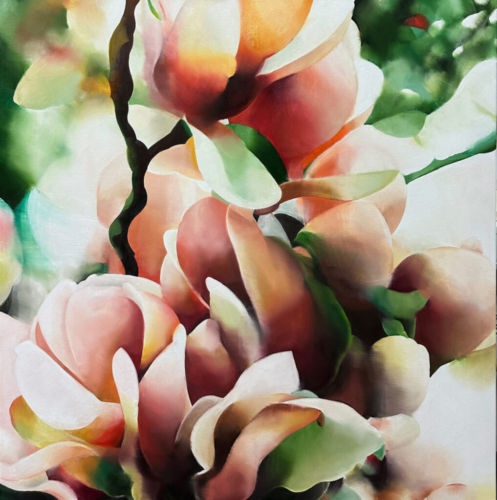Magnolia, 100 cm x 100 cm, oil on canvas, 2025