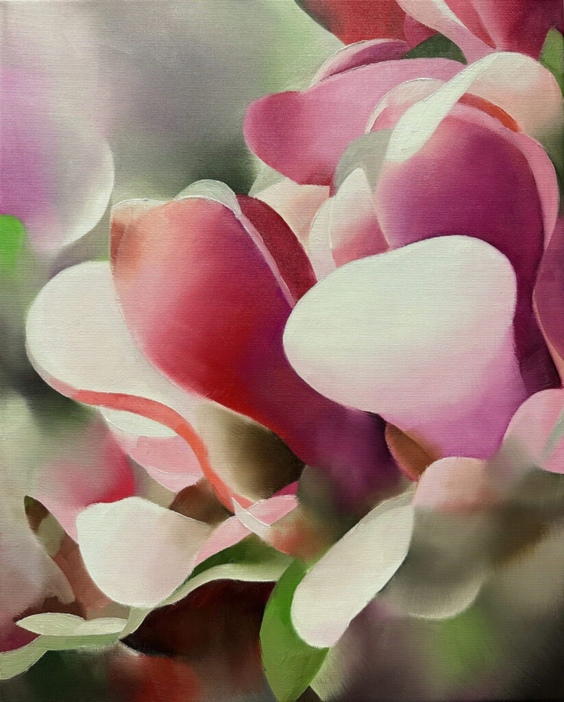 Magnolia,50 cm x 40 cm,oil on canvas, 2026